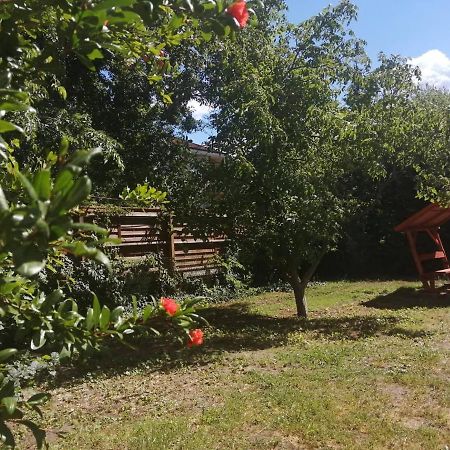 Rakos-Patak Family House Hotel บูดาเปสต์ ภายนอก รูปภาพ